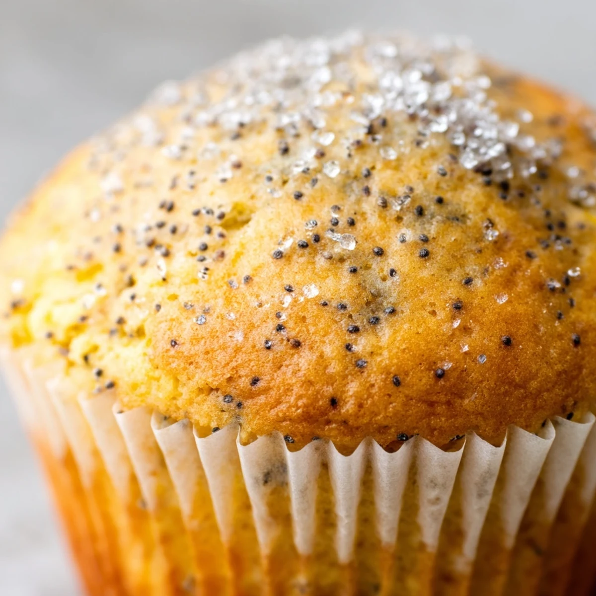 Golden lemon poppy seed muffins with domed tops served on a rustic white ceramic plate