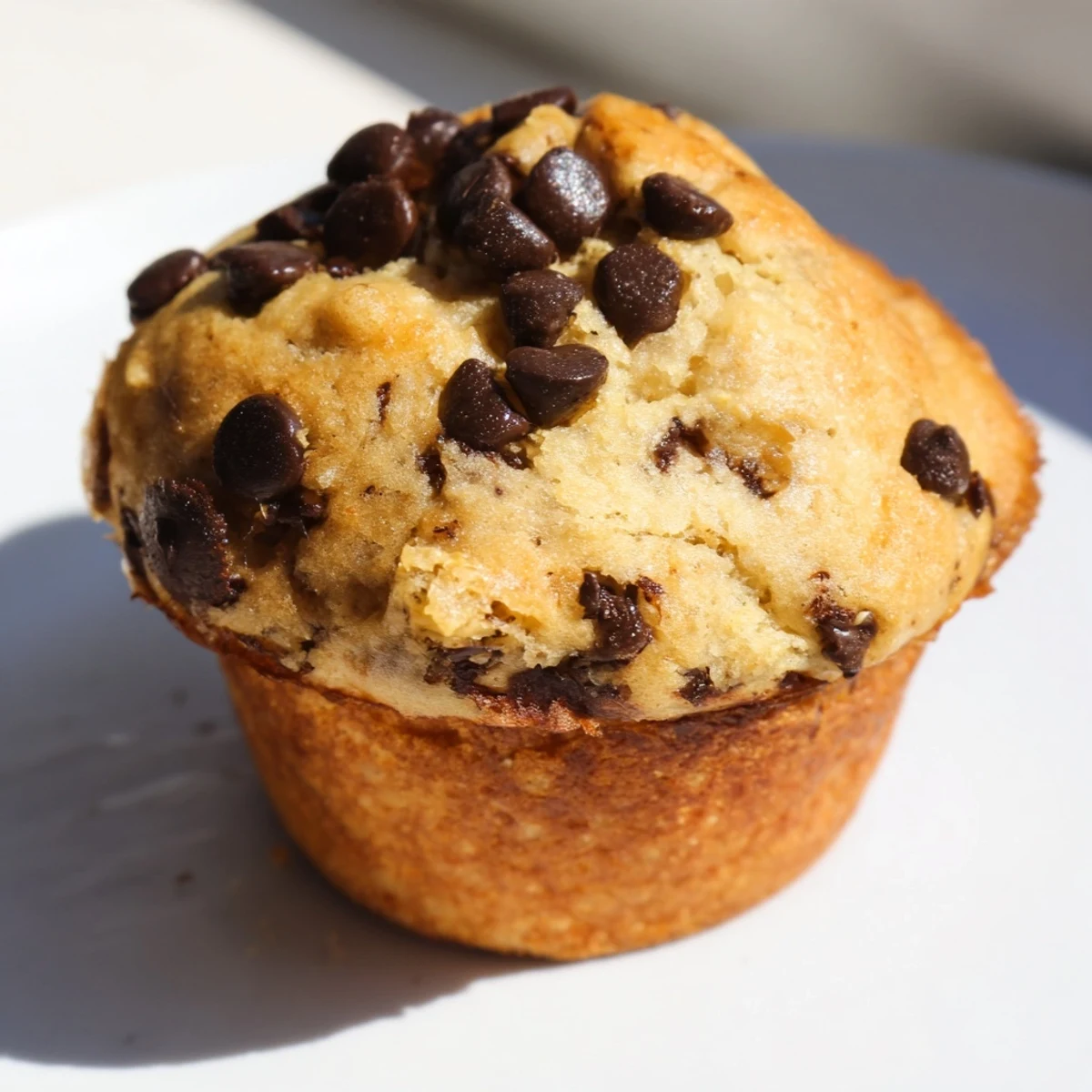 Golden banana espresso chocolate chip muffins fresh from the oven with melted chocolate chips visible on top